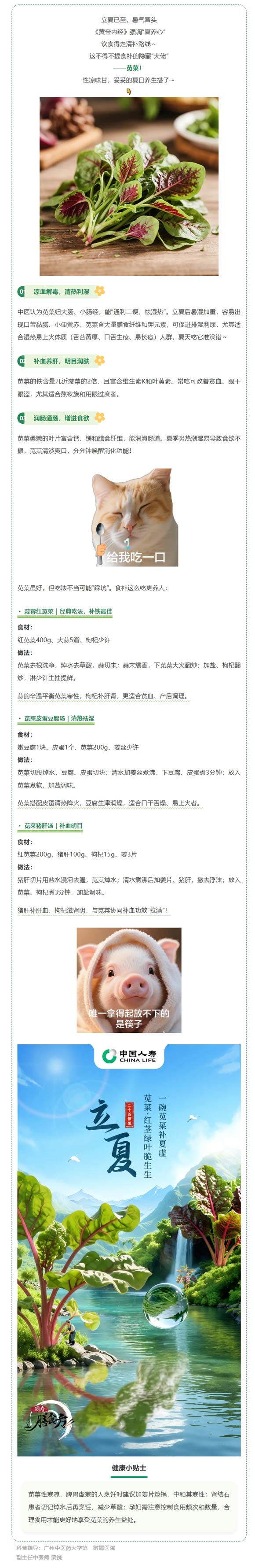 立夏時(shí)節(jié) | 一把莧菜養(yǎng)肝血，吃出紅潤(rùn)好氣色