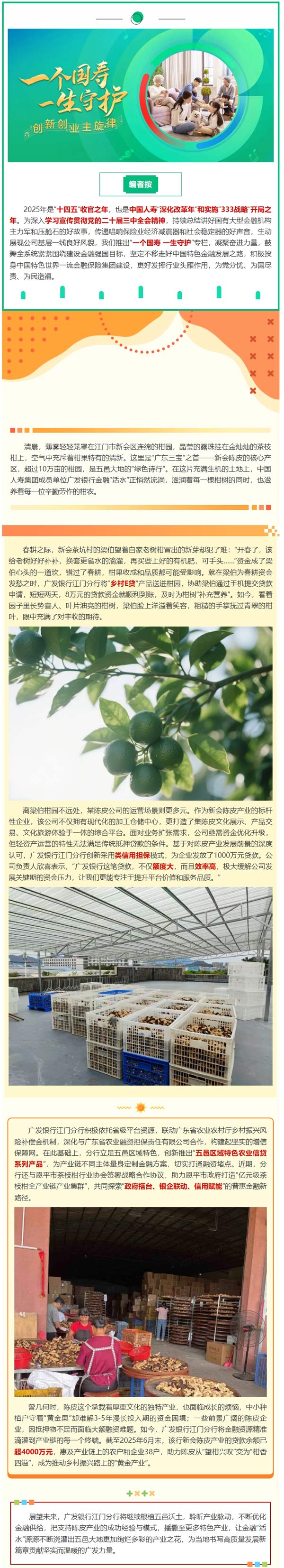 基层一线 | “陈皮贷”闯出“黄金路”