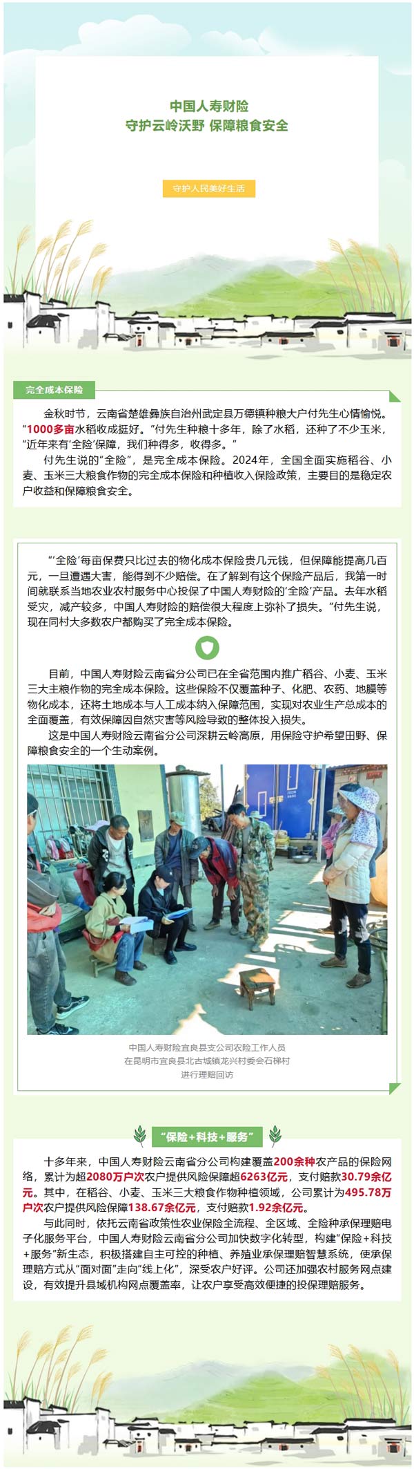 助农护农|中国人寿财险守护云岭沃野 保障粮食安全