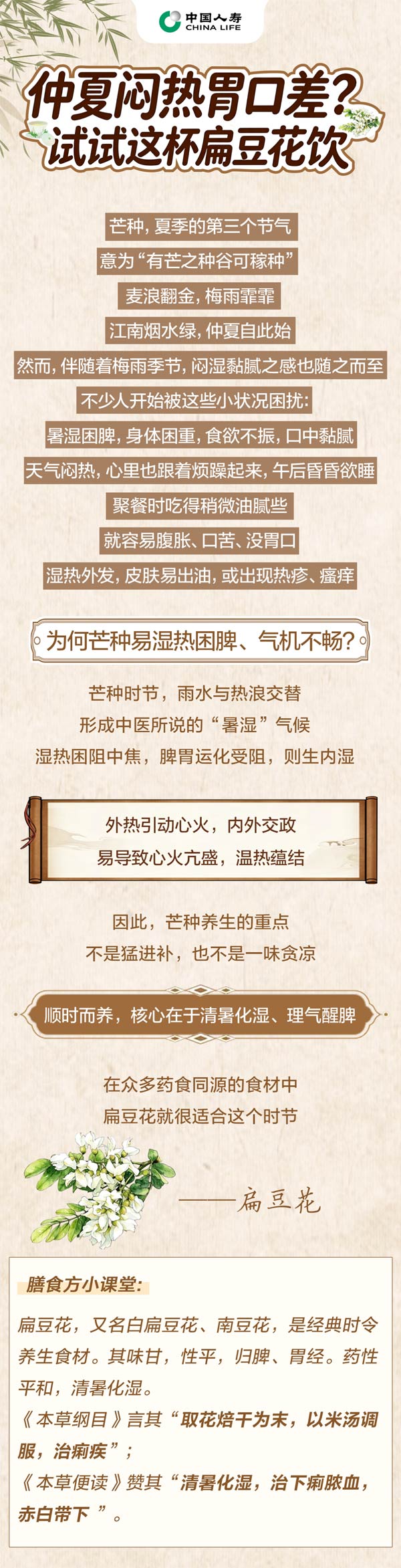 仲夏闷热胃口差？试试这杯扁豆花饮